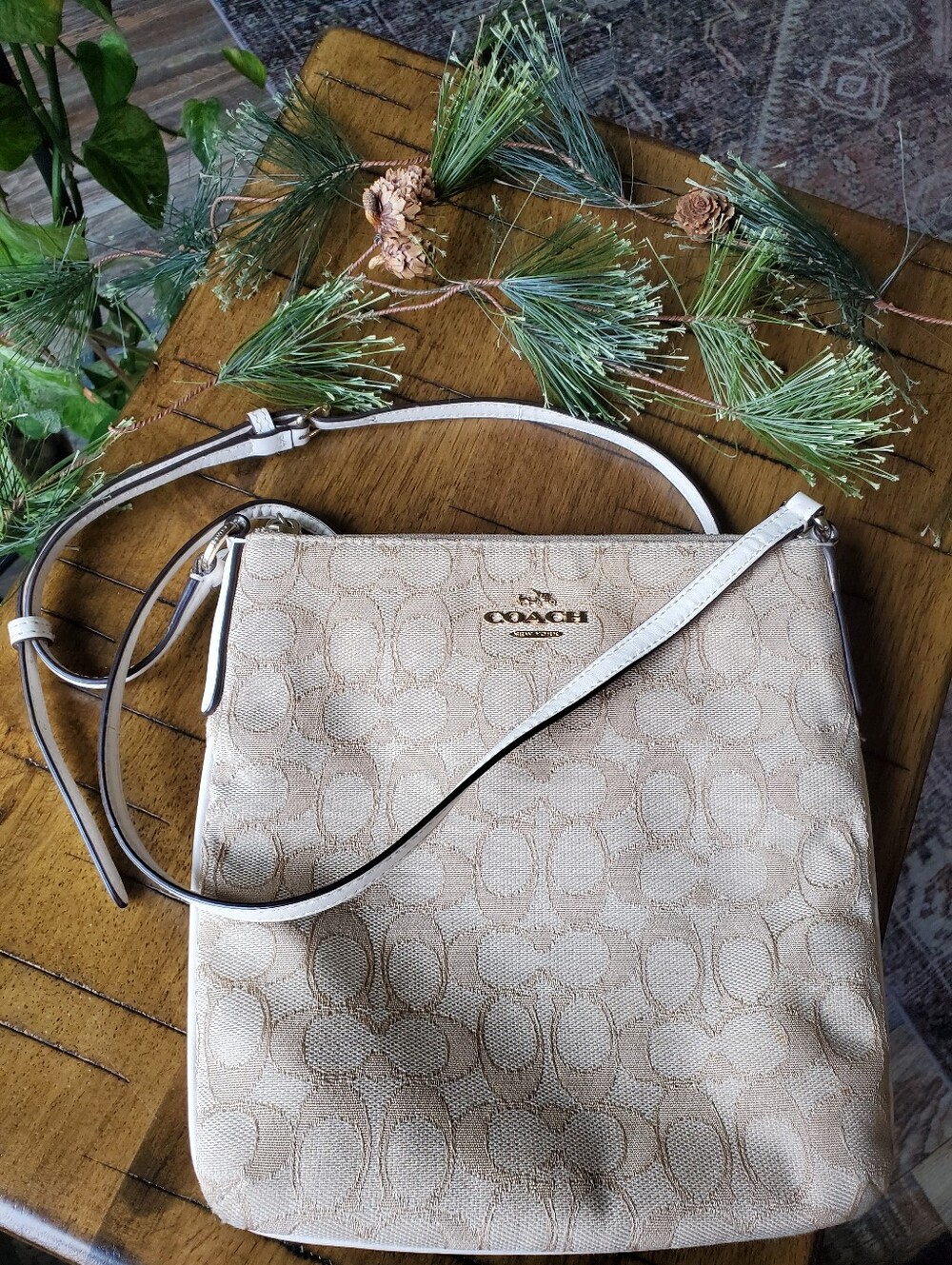 COACH Crossbody Bag F58421 Light Khaki Chalk Signature North South